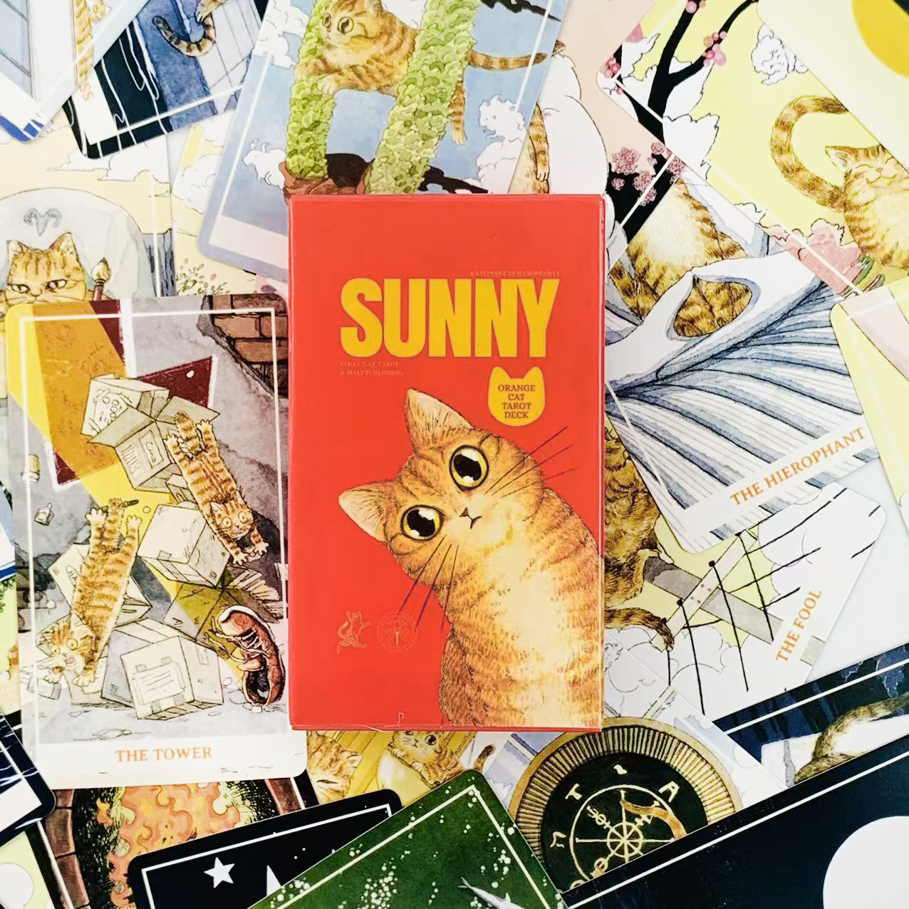Sunny Orange Cat Tarot Deck A  - Party Games Sunny のレビューと価格