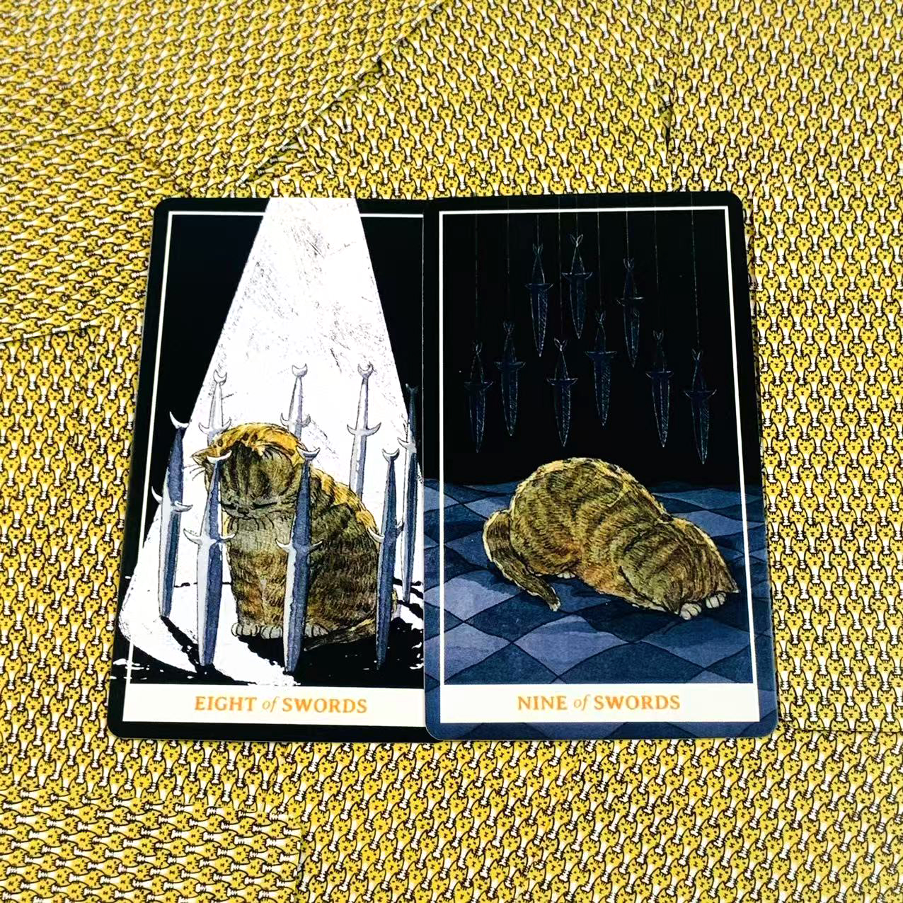 Sunny Orange Cat Tarot Deck A  - Party Games Sunny のレビューと価格