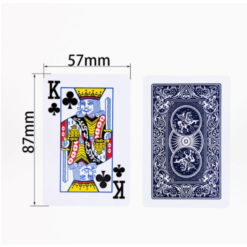 Premium Opaque Playing Cards S - Book Party Games のレビューと価格