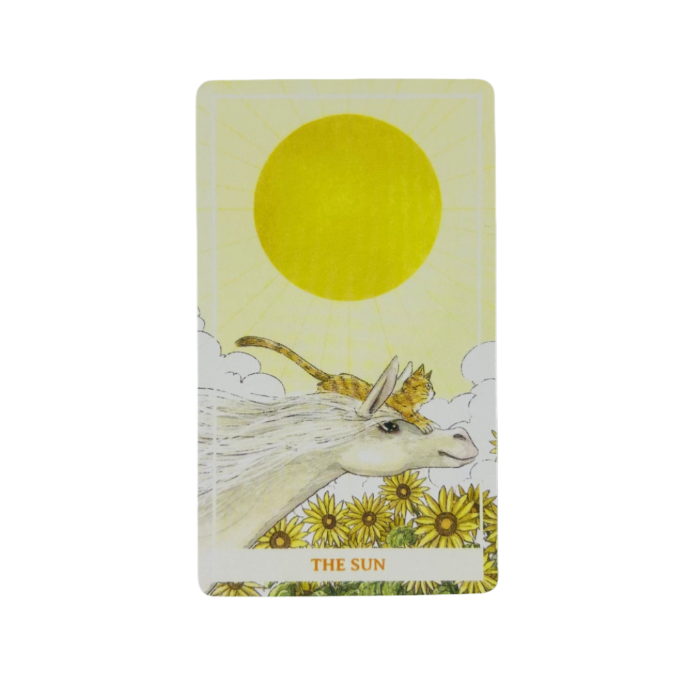 Sunny Orange Cat Tarot Deck A  - Party Games Sunny のレビューと価格